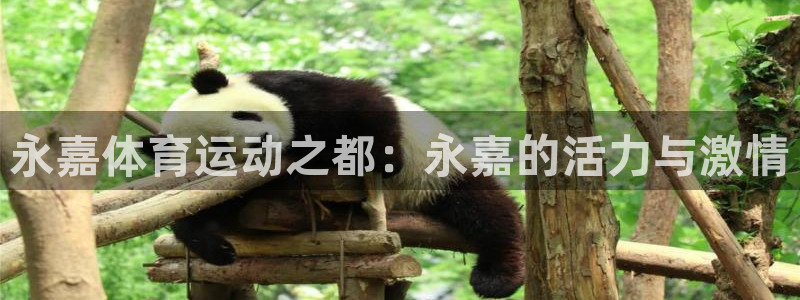 vsport体育官方正版app娱乐首页网站大全:永嘉体育运动