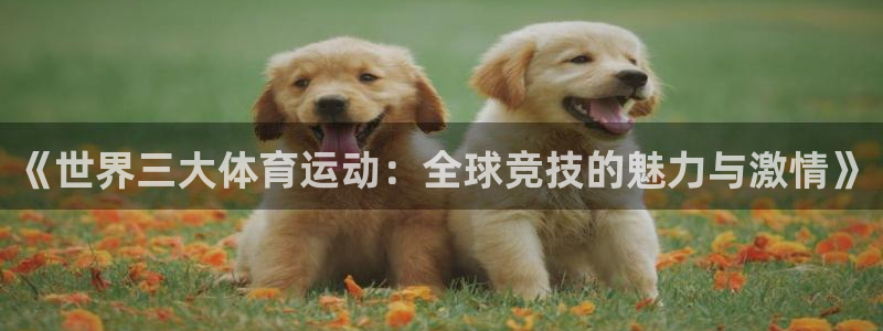 vsport体育官网下载平台注册流程视频:《世界三大体育运动