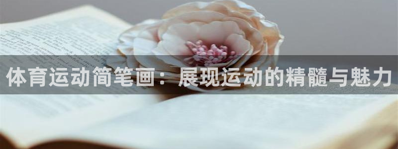 vsport体育官网下载招商电话是多少:体育运动简笔画:展现