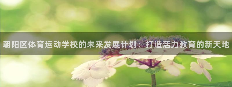 vsport体育官网下载联系电话:朝阳区体育运动学校的未来发