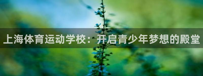 vsport体育官网下载平台:上海体育运动学校:开启青少年梦