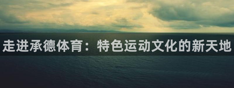 vsport体育官网下载平台注册流程图:走进承德体育:特色运
