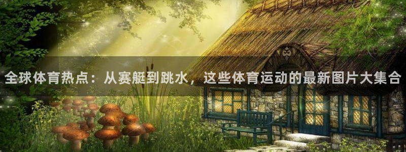 vsport体育官方正版app五金厂:全球体育热点:从赛艇到